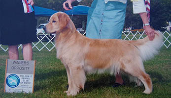 CH ThorneLea Total Eclipse of the Heart