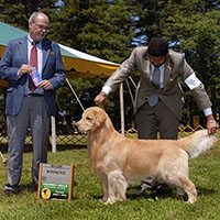 CH ThorneLea Oh Henry TD CGC OS