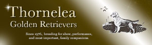 hornelea golden retrievers logo